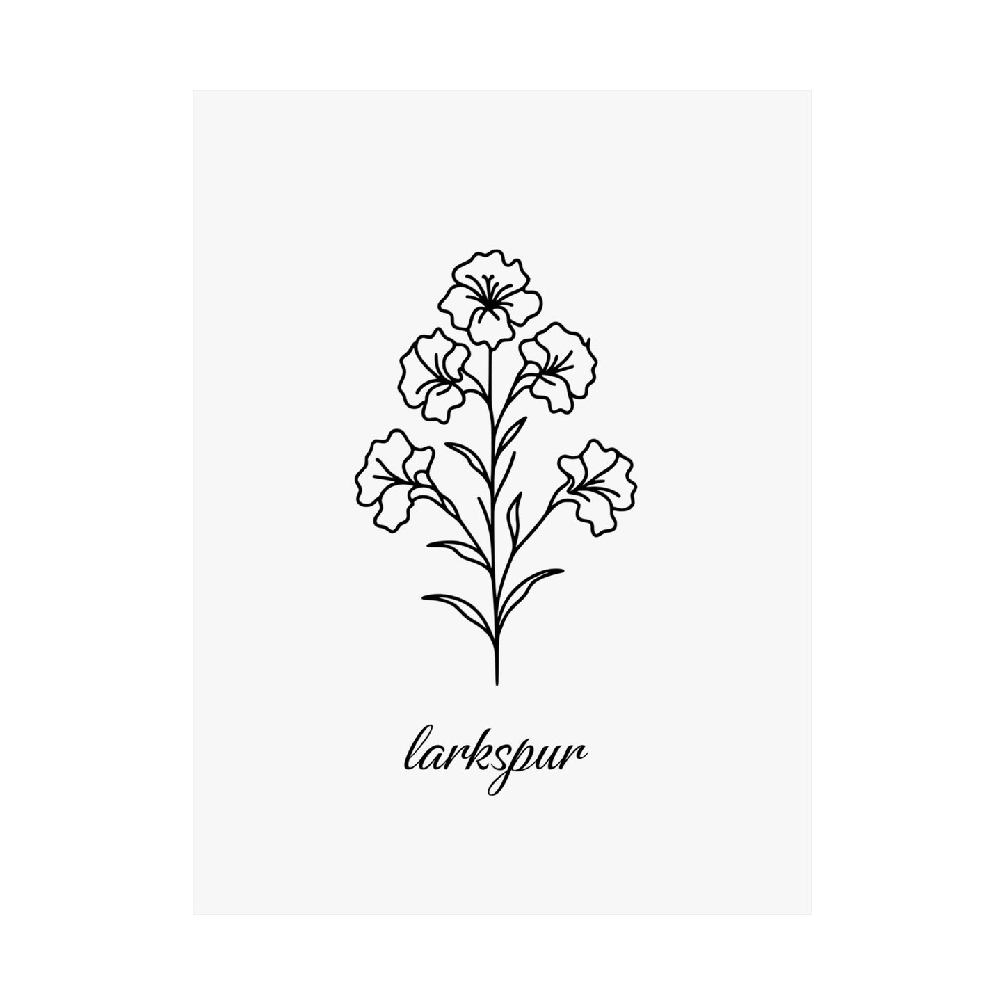 July Birth Flower Poster Larkspur