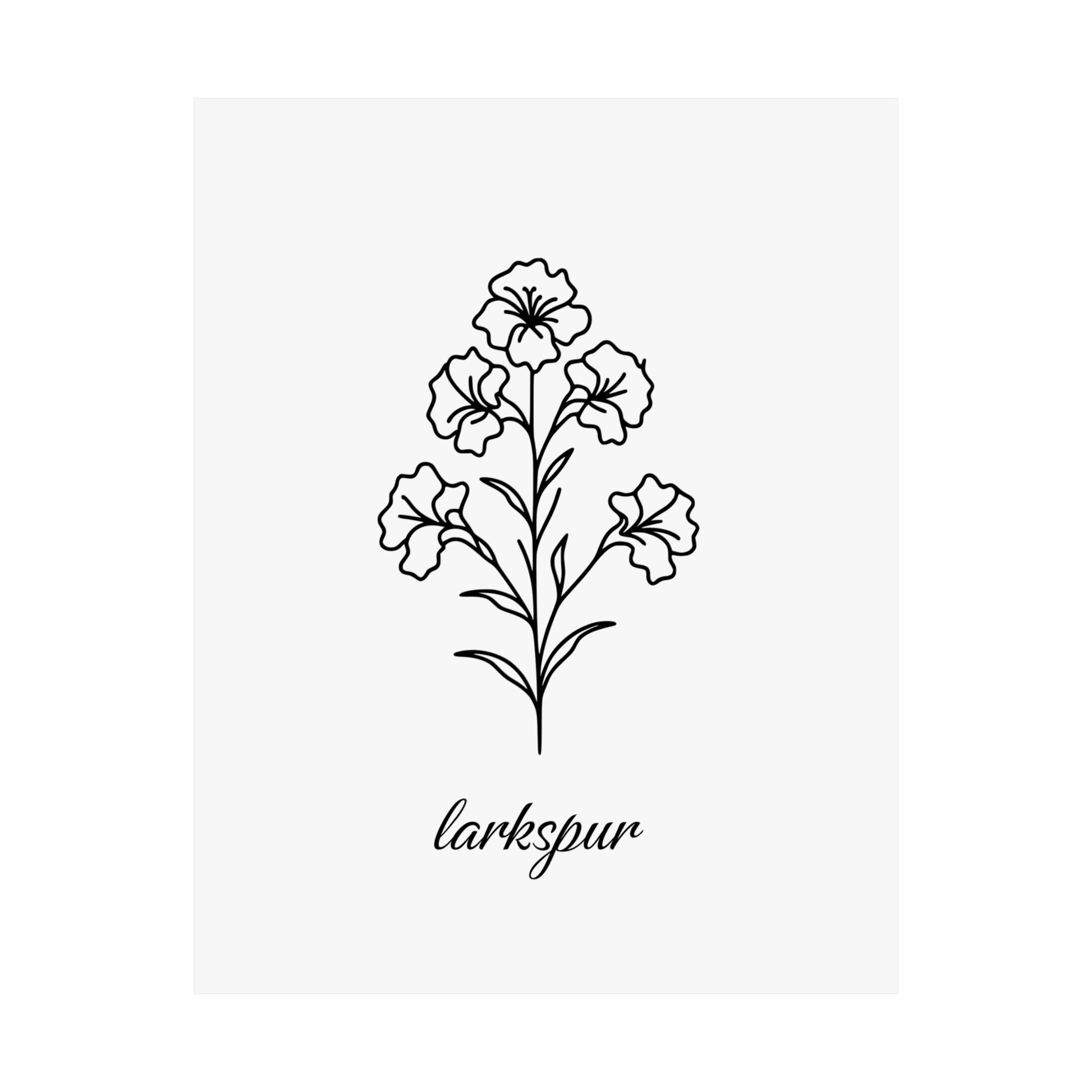 July Birth Flower Poster Larkspur