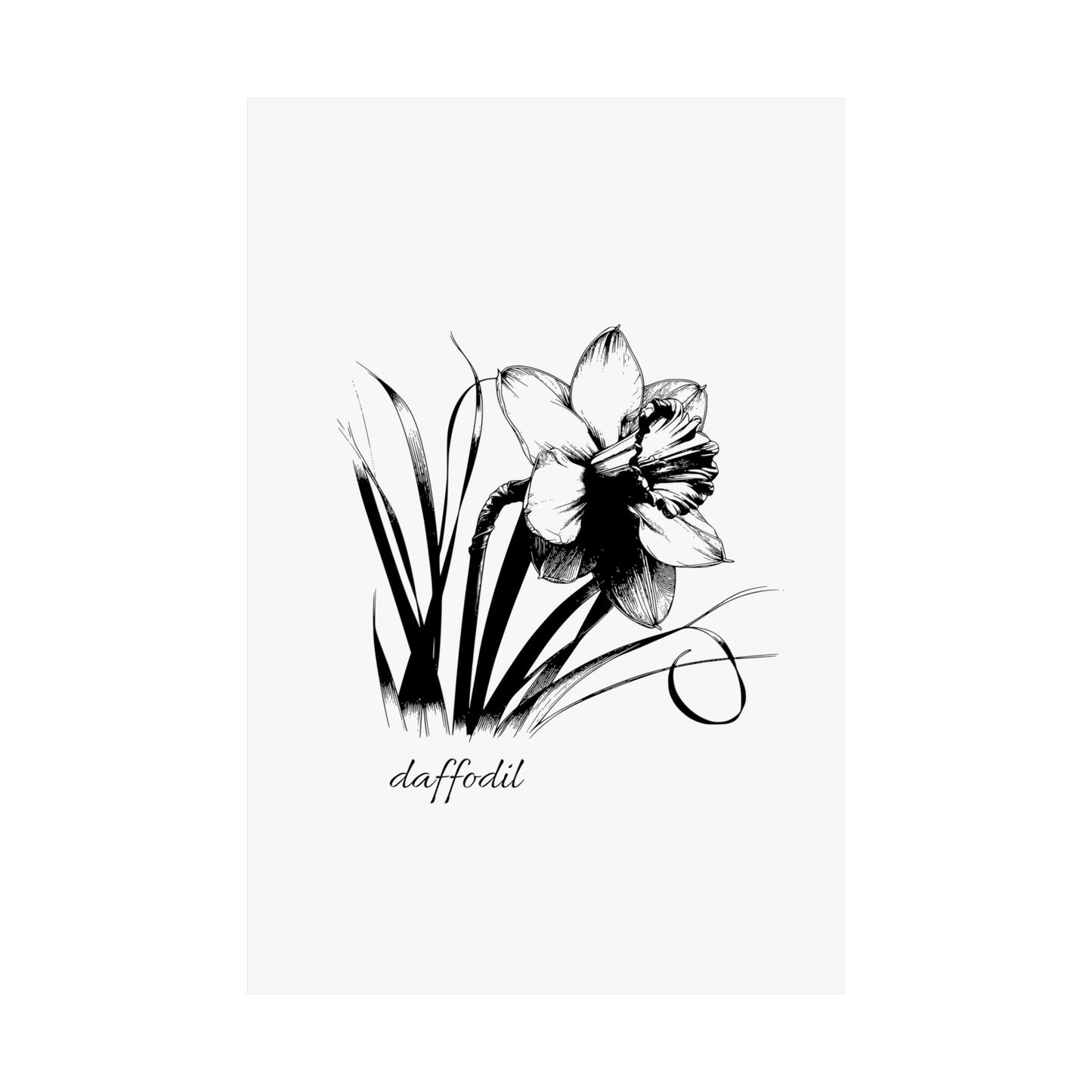 March Birth Flower Daffodil Wall Art