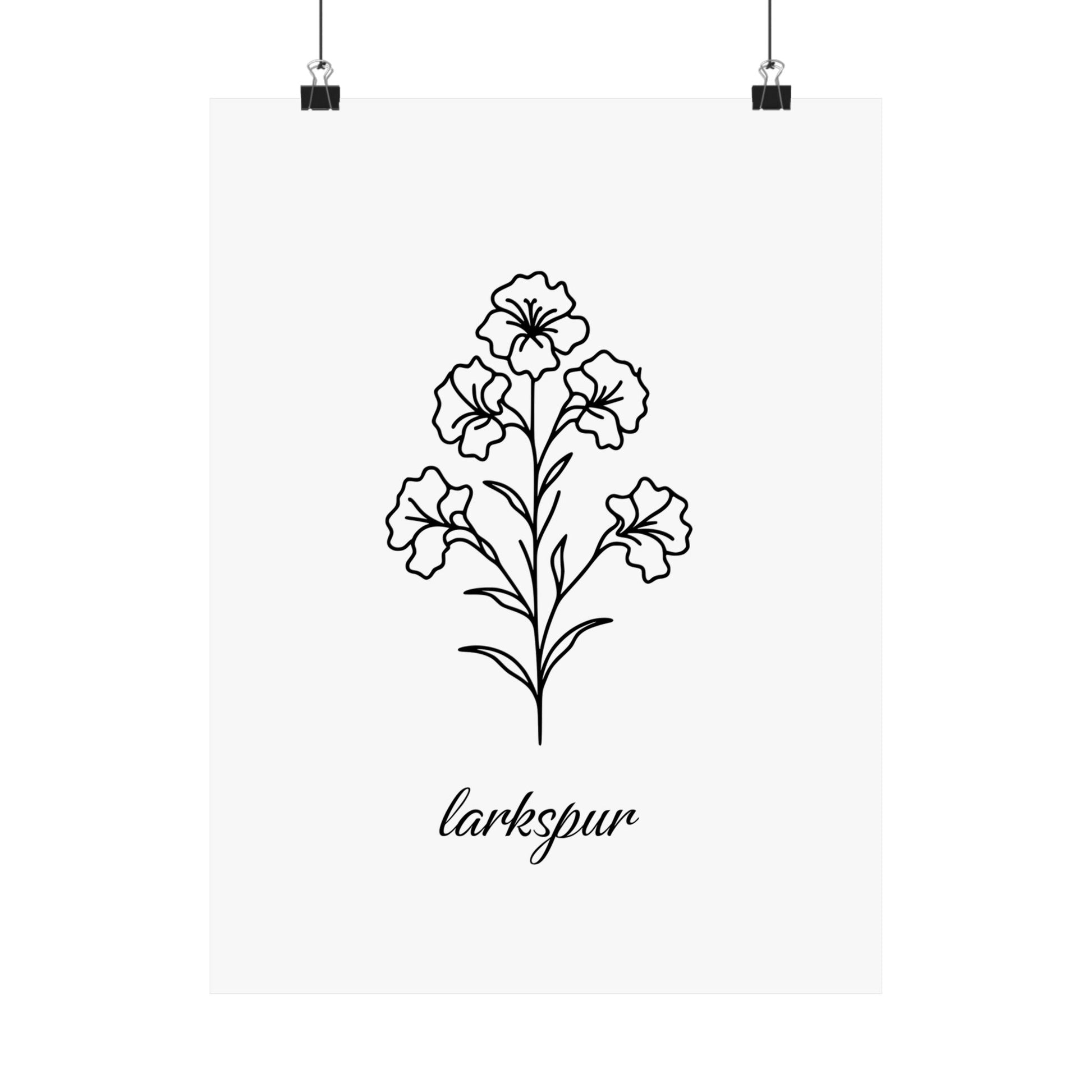 July Birth Flower Poster Larkspur