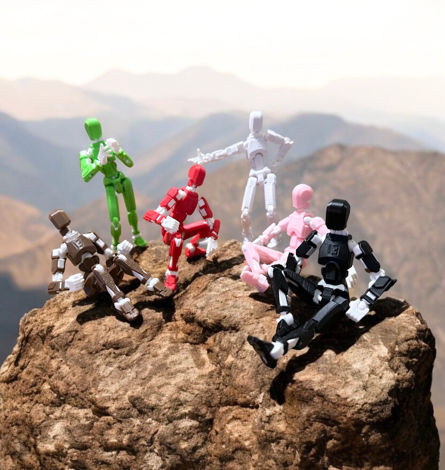 T13 Action Figure/ Titan 13 Robot/Dummy Toy/Toy Robot/ 3D Printed Action Figure