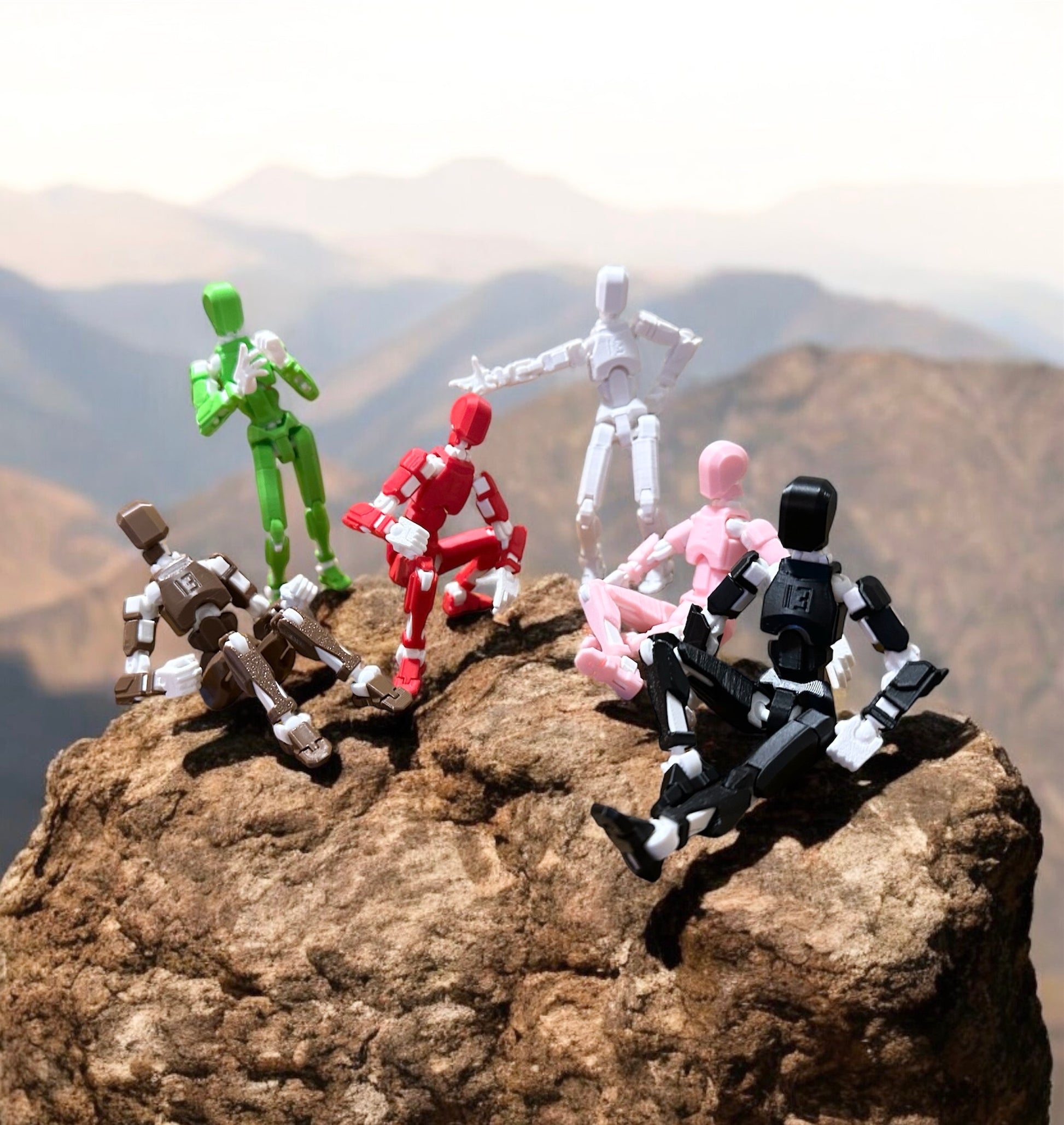 T13 Action Figure/ Titan 13 Robot/Dummy Toy/Toy Robot/ 3D Printed Action Figure